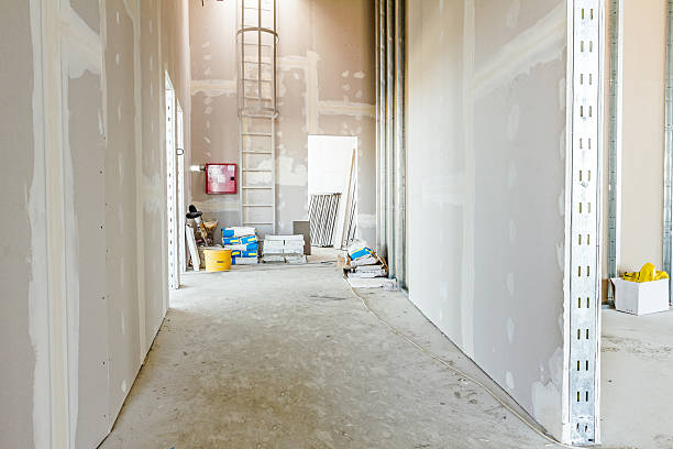 Best Industrial Mold Remediation  in Waimanalo Beach, HI