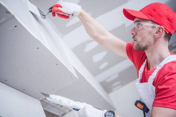 Best Asbestos and Lead Testing During Mold Inspection  in Waimanalo Beach, HI