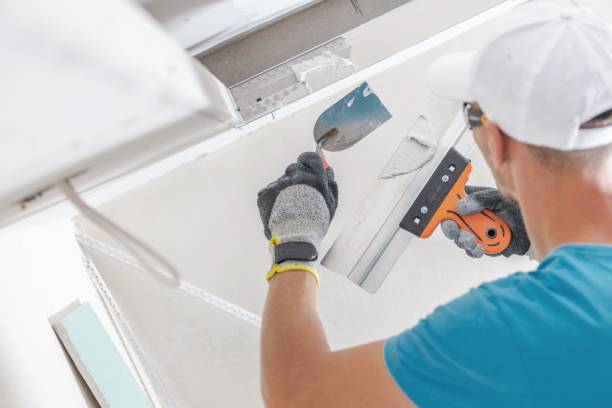 Best Mold Documentation for Insurance Claims  in Waimanalo Beach, HI